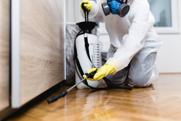 Best Termite Control Services  in Irvine, KY