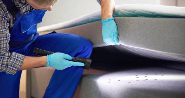 Best Exterminator Services  in Irvine, KY