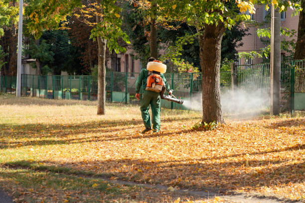 Reliable Irvine, KY Pest Control Solutions
