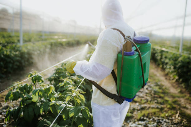 Best Affordable Pest Control Services  in Irvine, KY